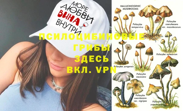 прущий лед Дмитров