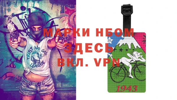 крисы Елабуга