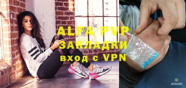 дмт Ельня