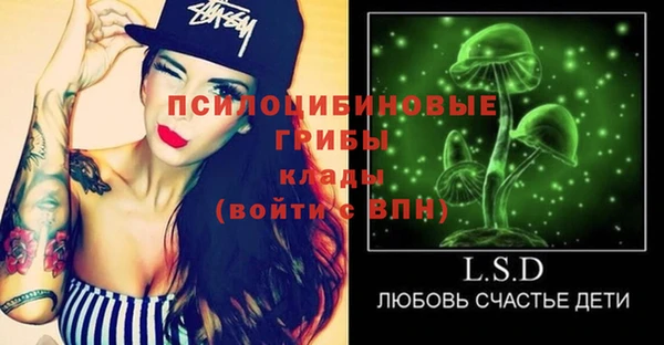прущий лед Дмитров