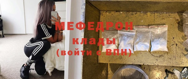 дмт Ельня