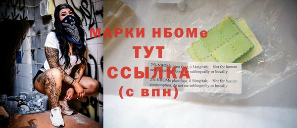 дмт Ельня