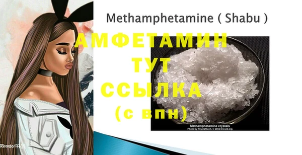 дмт Ельня