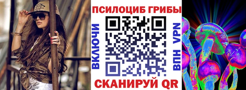 Купить где  Козловка  Галлюциногенные грибы мухоморы 